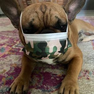 Meet your Posher, Julie